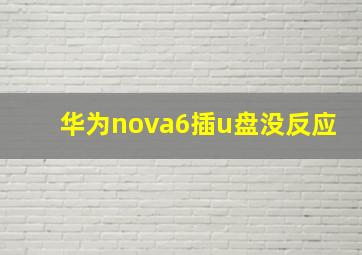 华为nova6插u盘没反应