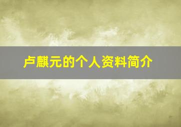 卢麒元的个人资料简介