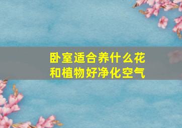 卧室适合养什么花和植物好净化空气