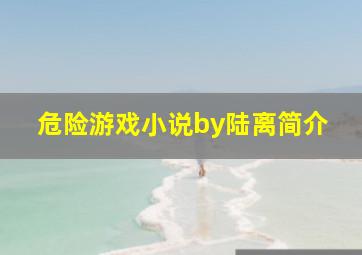 危险游戏小说by陆离简介