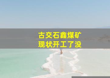 古交石鑫煤矿现状开工了没