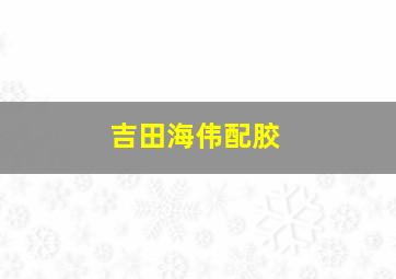 吉田海伟配胶