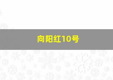 向阳红10号