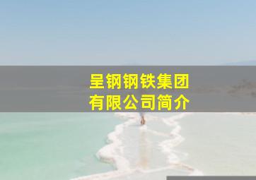 呈钢钢铁集团有限公司简介