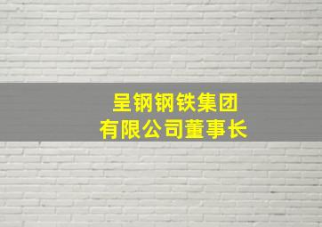 呈钢钢铁集团有限公司董事长