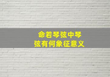 命若琴弦中琴弦有何象征意义