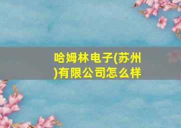 哈姆林电子(苏州)有限公司怎么样