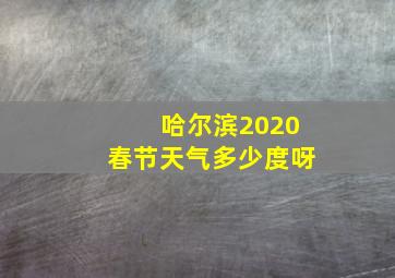 哈尔滨2020春节天气多少度呀