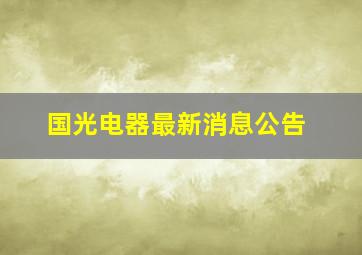 国光电器最新消息公告