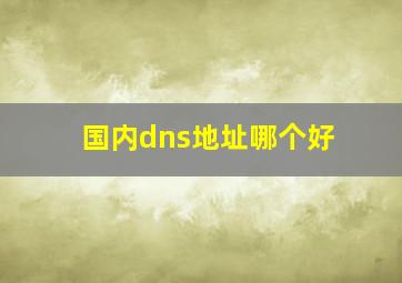 国内dns地址哪个好