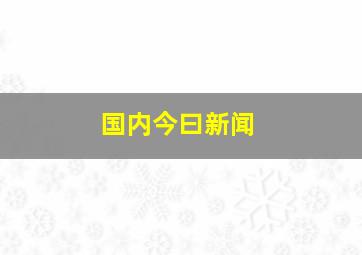 国内今曰新闻