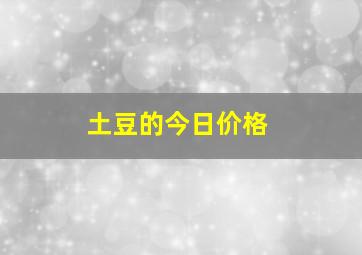 土豆的今日价格