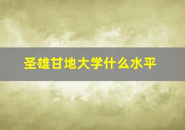 圣雄甘地大学什么水平