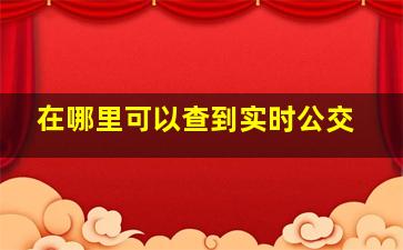 在哪里可以查到实时公交