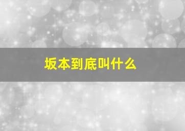 坂本到底叫什么