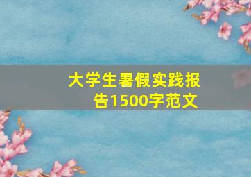 大学生暑假实践报告1500字范文