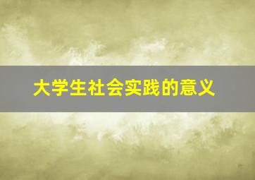 大学生社会实践的意义