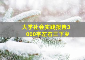 大学社会实践报告3000字左右三下乡