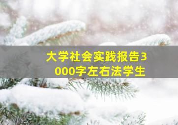 大学社会实践报告3000字左右法学生