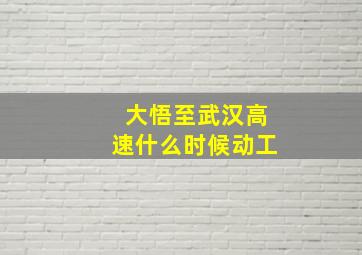 大悟至武汉高速什么时候动工