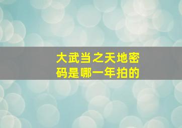 大武当之天地密码是哪一年拍的