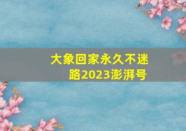 大象回家永久不迷路2023澎湃号