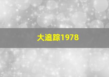 大追踪1978