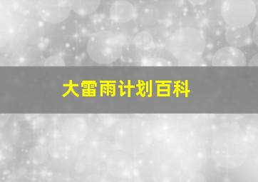 大雷雨计划百科