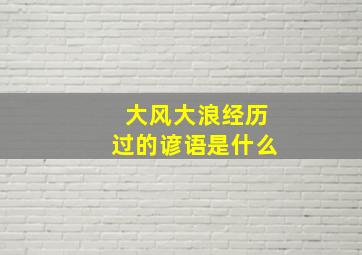 大风大浪经历过的谚语是什么