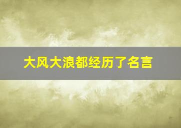 大风大浪都经历了名言