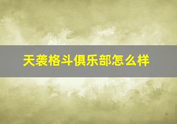 天袭格斗俱乐部怎么样