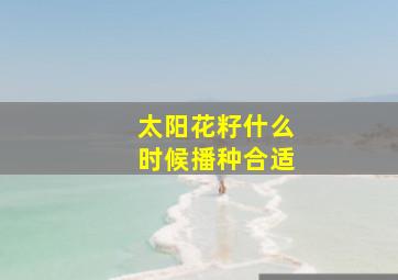 太阳花籽什么时候播种合适