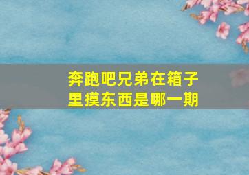 奔跑吧兄弟在箱子里摸东西是哪一期