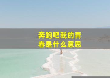 奔跑吧我的青春是什么意思