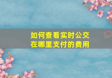 如何查看实时公交在哪里支付的费用