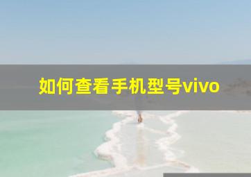 如何查看手机型号vivo