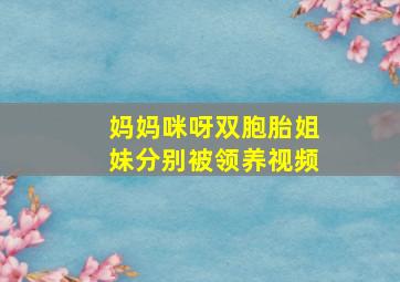 妈妈咪呀双胞胎姐妹分别被领养视频