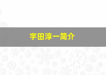 宇田淳一简介