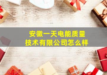 安徽一天电能质量技术有限公司怎么样