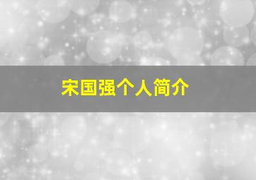 宋国强个人简介