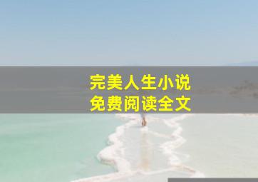 完美人生小说免费阅读全文