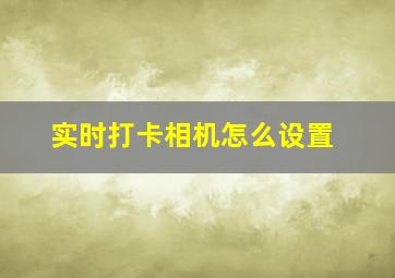 实时打卡相机怎么设置