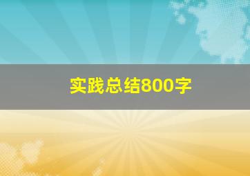 实践总结800字