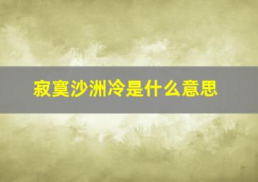 寂寞沙洲冷是什么意思