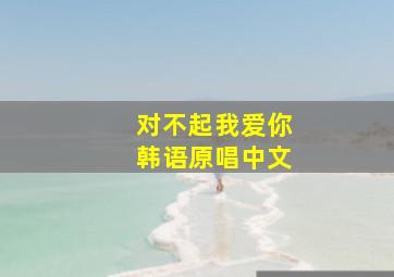 对不起我爱你韩语原唱中文