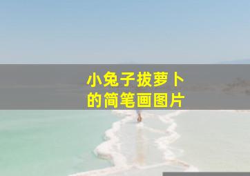 小兔子拔萝卜的简笔画图片