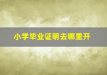 小学毕业证明去哪里开