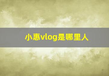 小惠vlog是哪里人