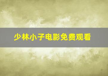 少林小子电影免费观看