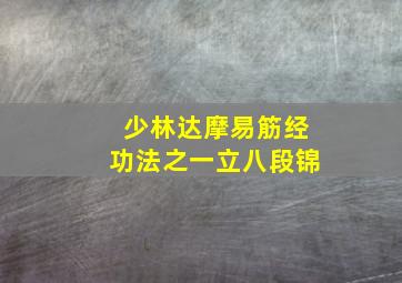 少林达摩易筋经功法之一立八段锦